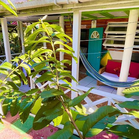 Le Petit Paradis Roseau Zewnętrze zdjęcie