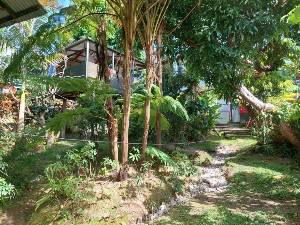 Le Petit Paradis Roseau Zewnętrze zdjęcie