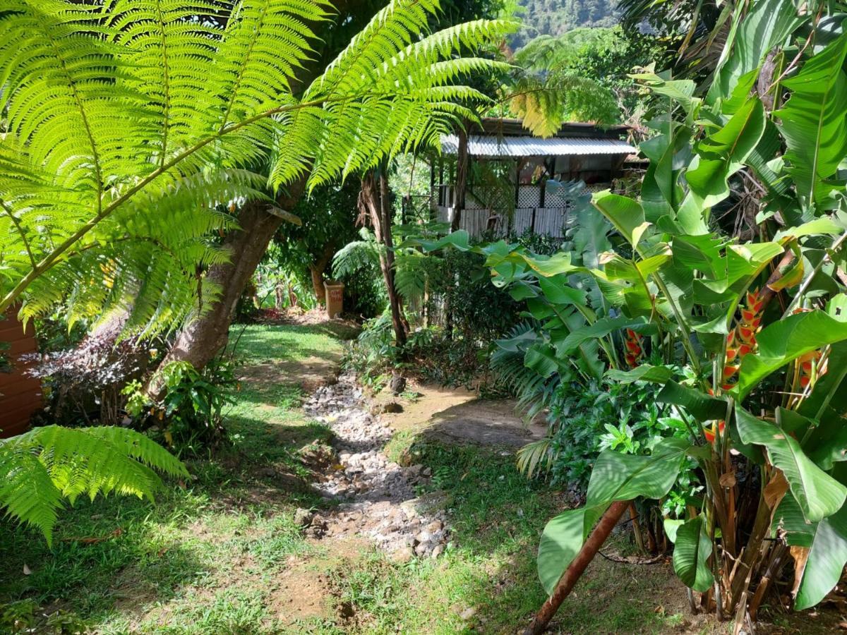 Le Petit Paradis Roseau Zewnętrze zdjęcie