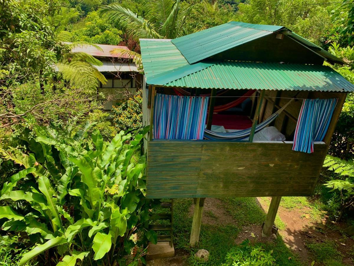 Le Petit Paradis Roseau Zewnętrze zdjęcie