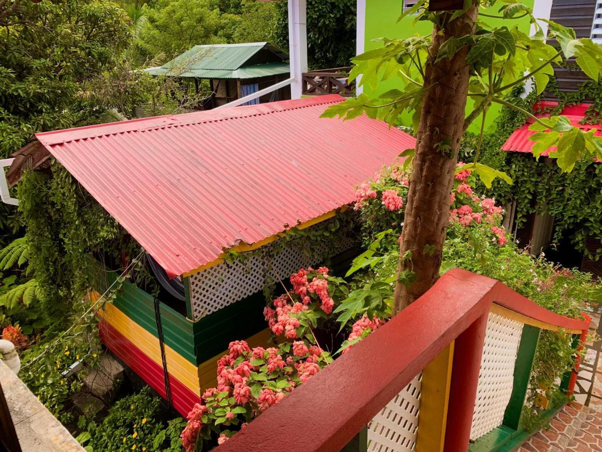 Le Petit Paradis Roseau Zewnętrze zdjęcie