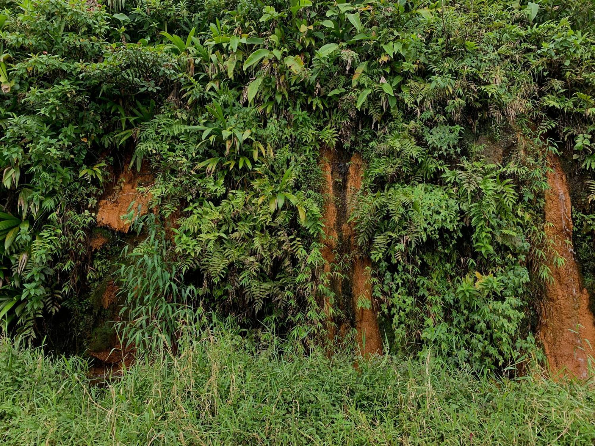 Le Petit Paradis Roseau Zewnętrze zdjęcie