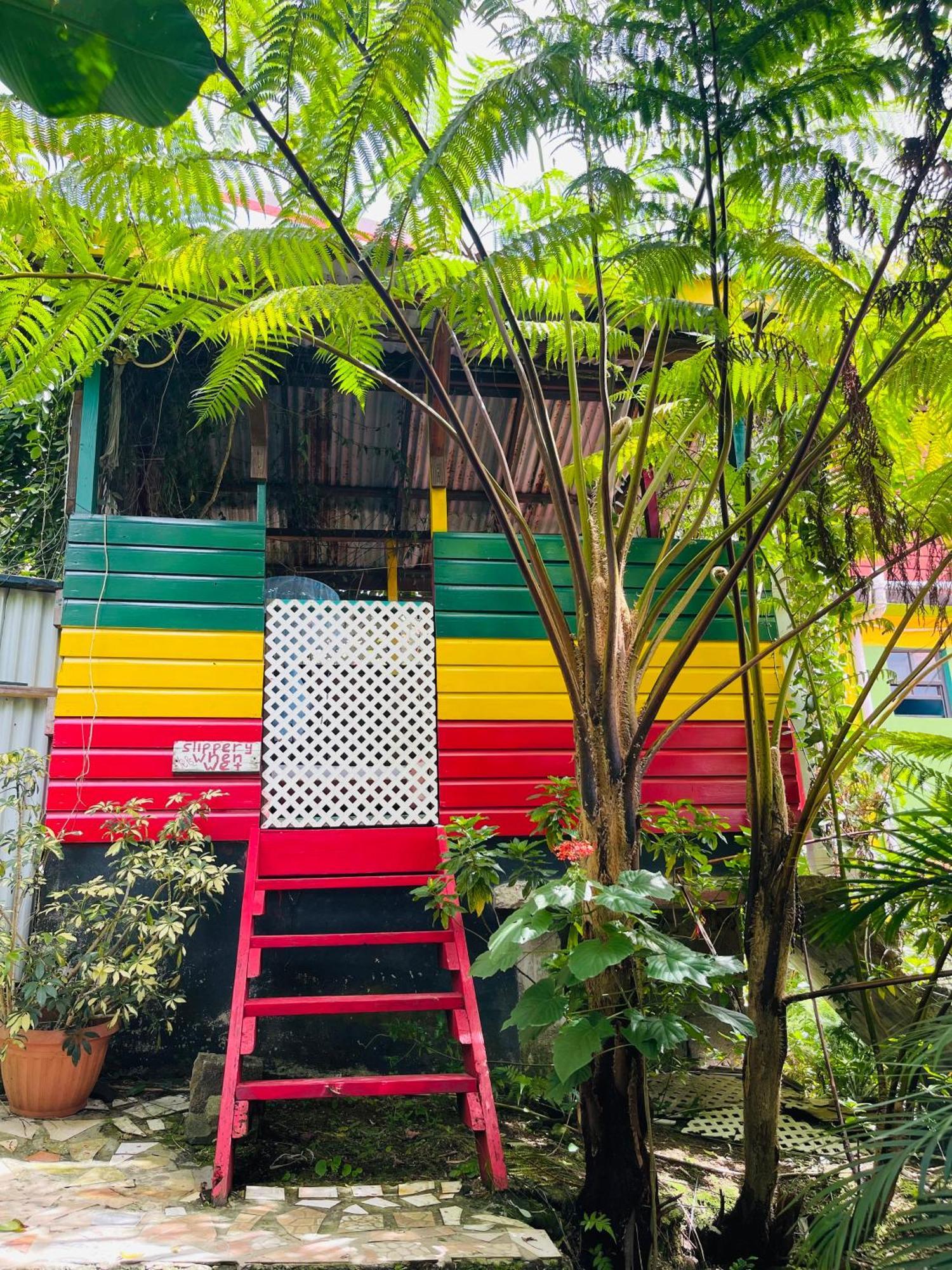 Le Petit Paradis Roseau Zewnętrze zdjęcie