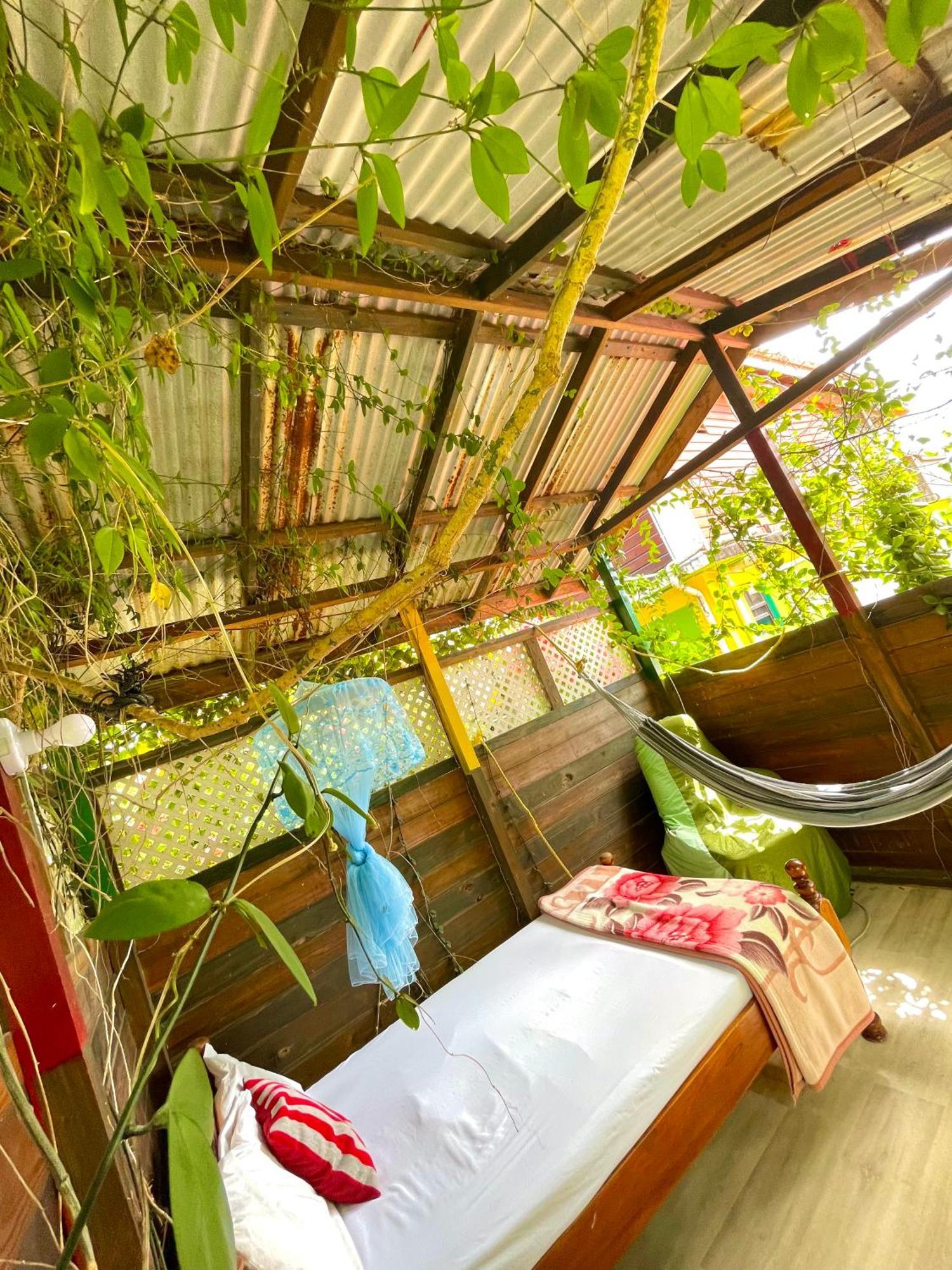 Le Petit Paradis Roseau Zewnętrze zdjęcie