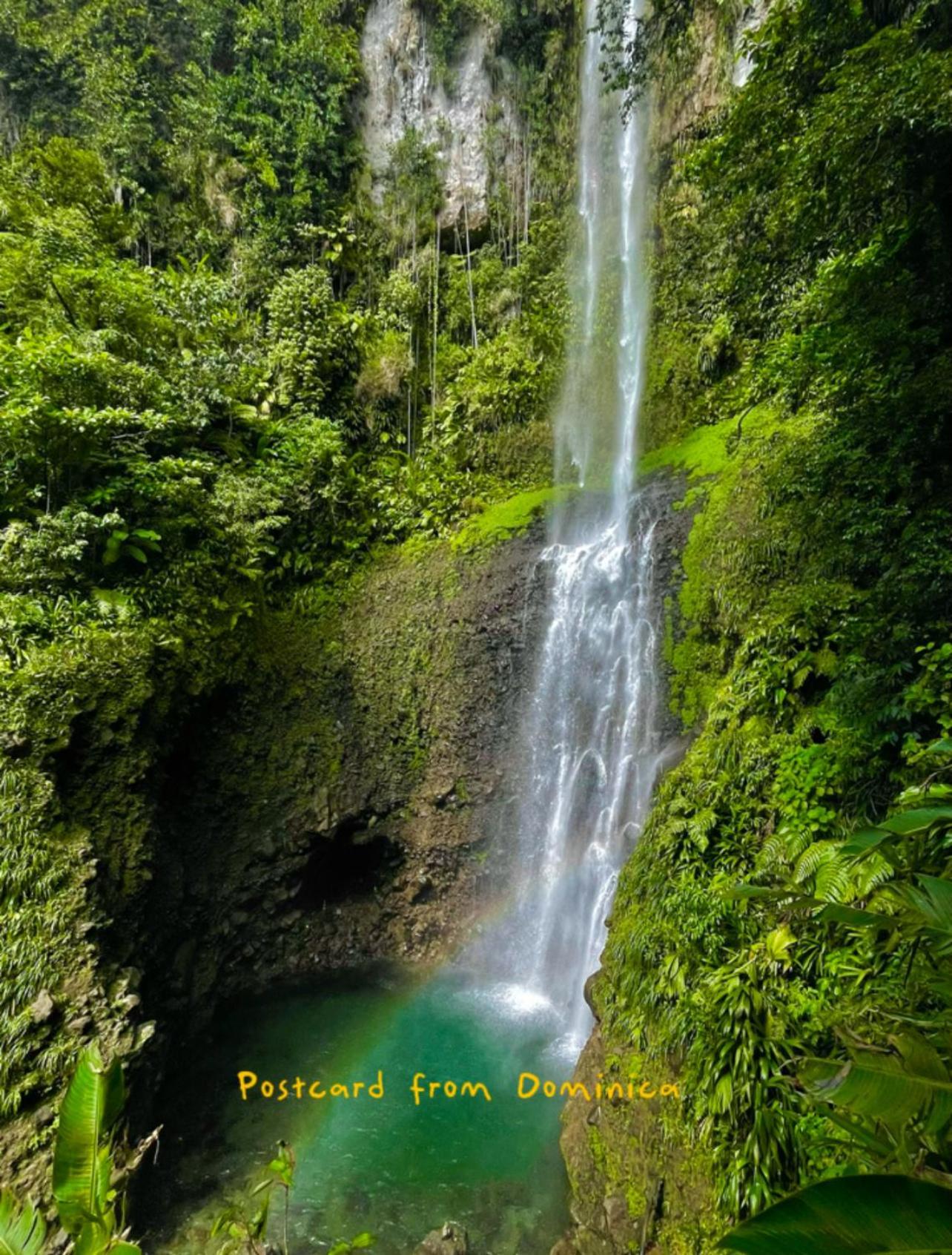 Le Petit Paradis Roseau Zewnętrze zdjęcie
